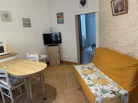 Ground floor apartment with courtyard