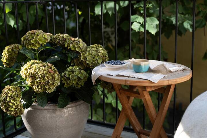 Lys og skjermet leilighet i hjertet av Grünerløkka gallery image 3