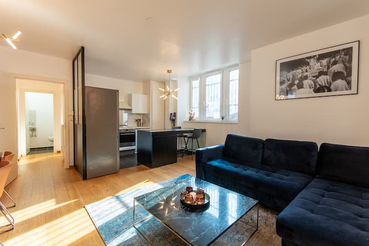 Appartement Historique Au Cœur De Strasbourg - Strasbourg