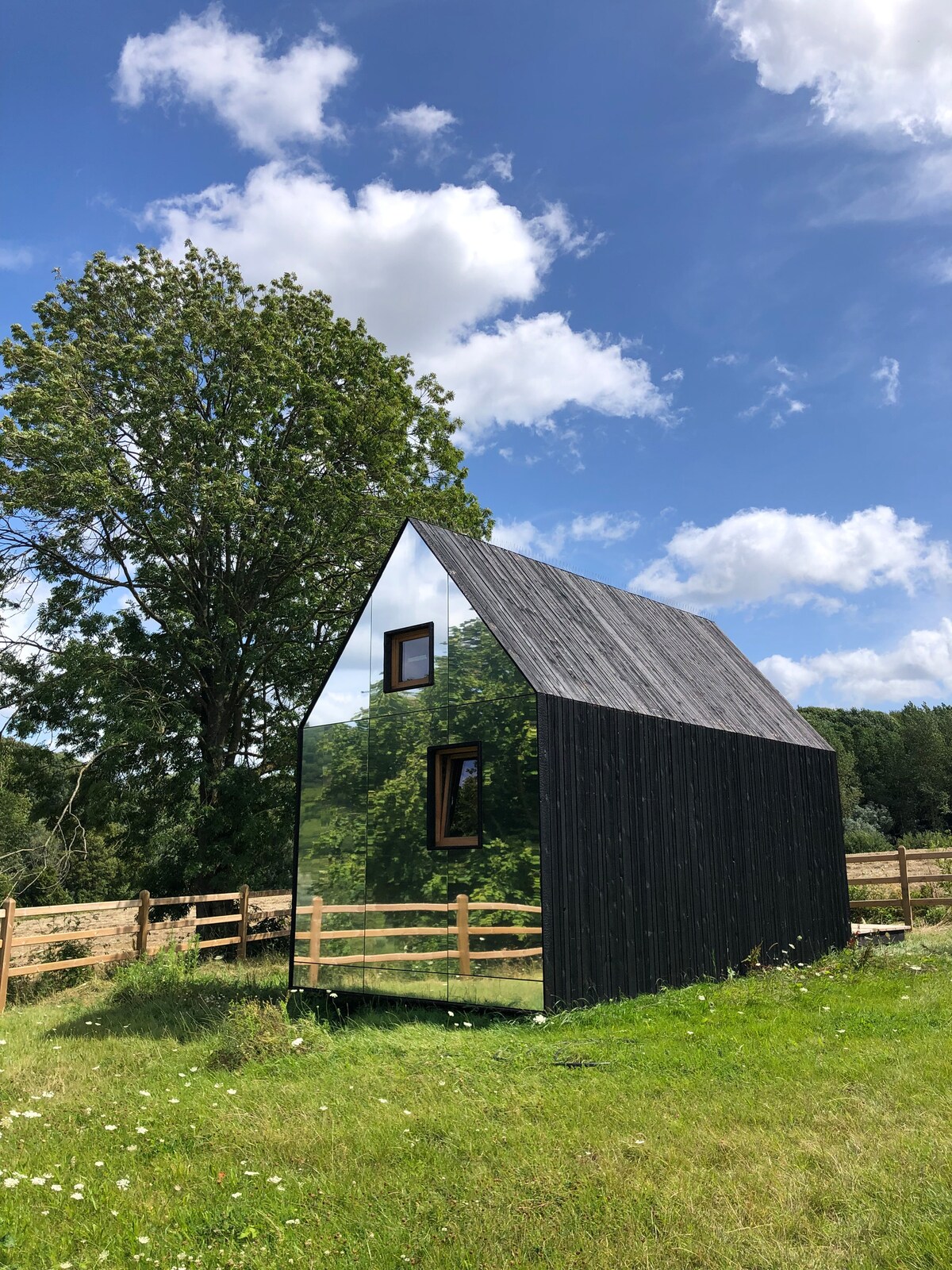A modern tiny house features a reflective exterior that blends with the surrounding natural landscape. Tall grass and wildflowers surround the structure, which is complemented by a leafed tree nearby. The roof has a distinct angular design, enhancing the sleek appearance.