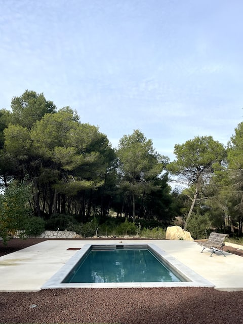 Secluded villa with swimming pool in the vineyards