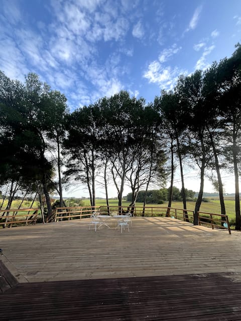 Villa in the middle of a vineyard