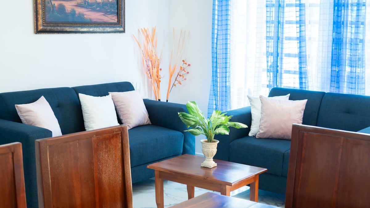 A bright living area is presented with two upholstered sofas featuring decorative cushions. A small wooden coffee table sits at the center, accompanied by a potted plant. The window is adorned with sheer blue curtains, allowing natural light to filter in.