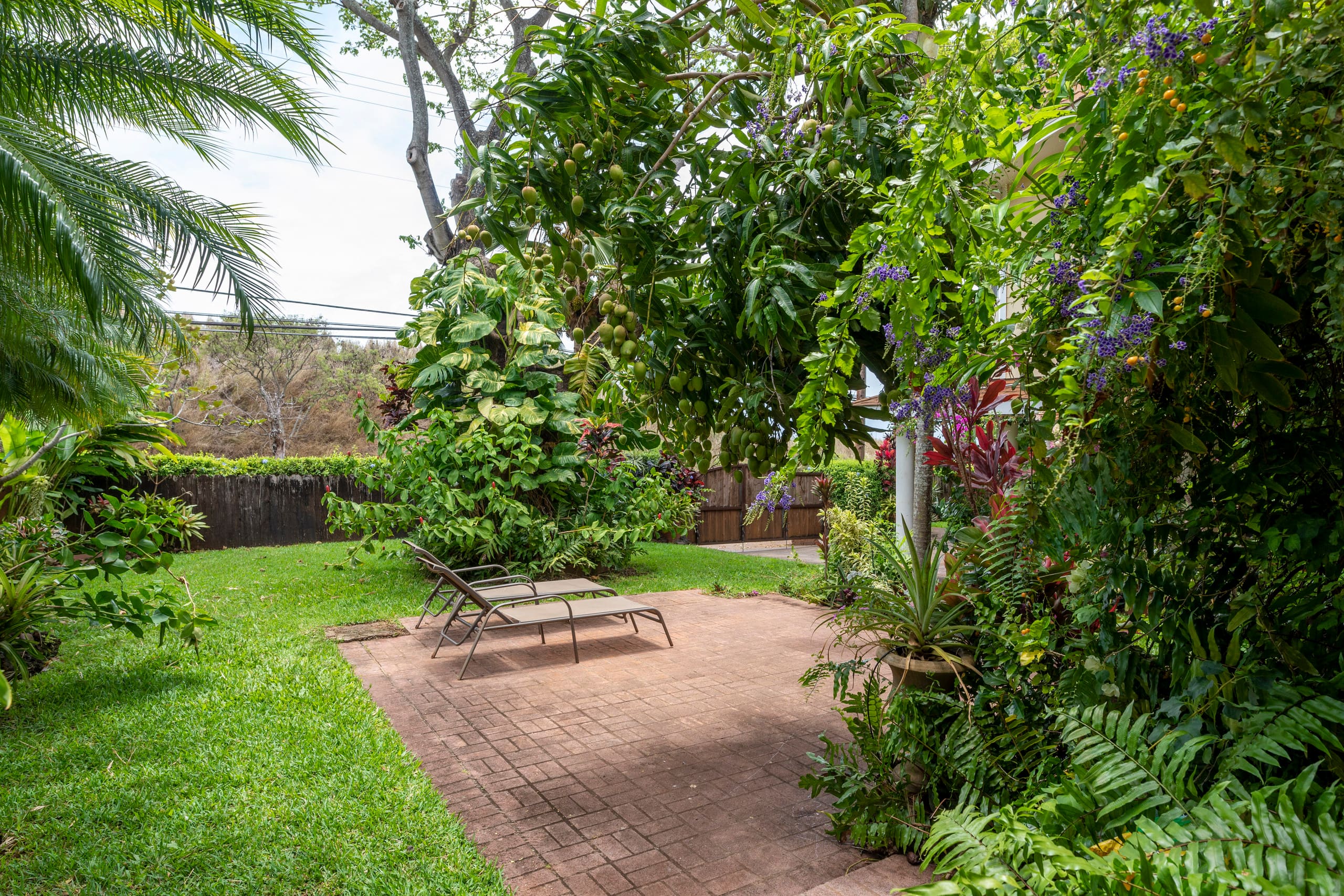 Home in Paia · ★4.88 · 1 bedroom · 1 bed · 1 bath - Photo 11