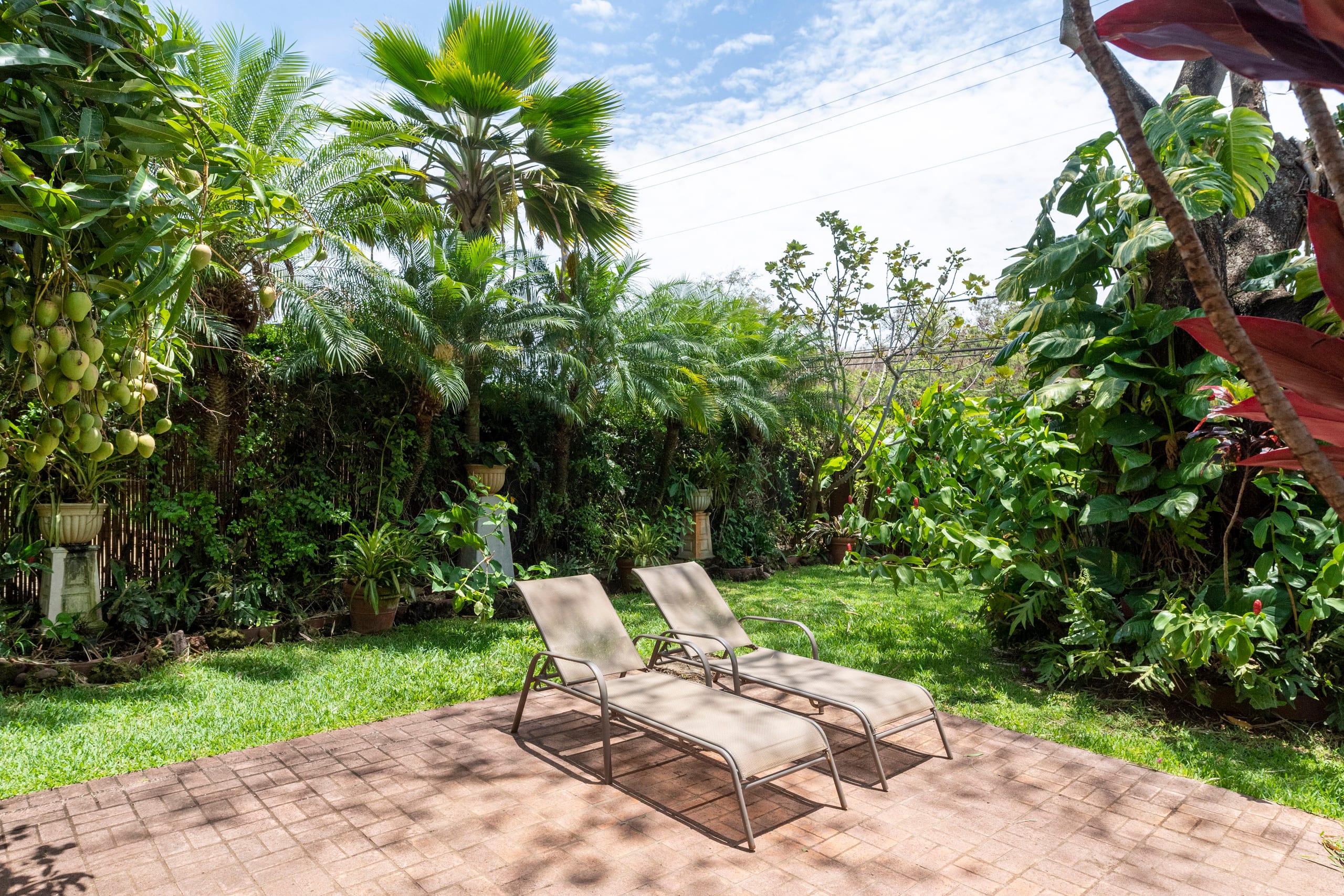 Home in Paia · ★4.88 · 1 bedroom · 1 bed · 1 bath - Photo 12
