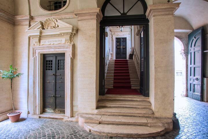 Il sogno delle Tartarughe gallery image 4