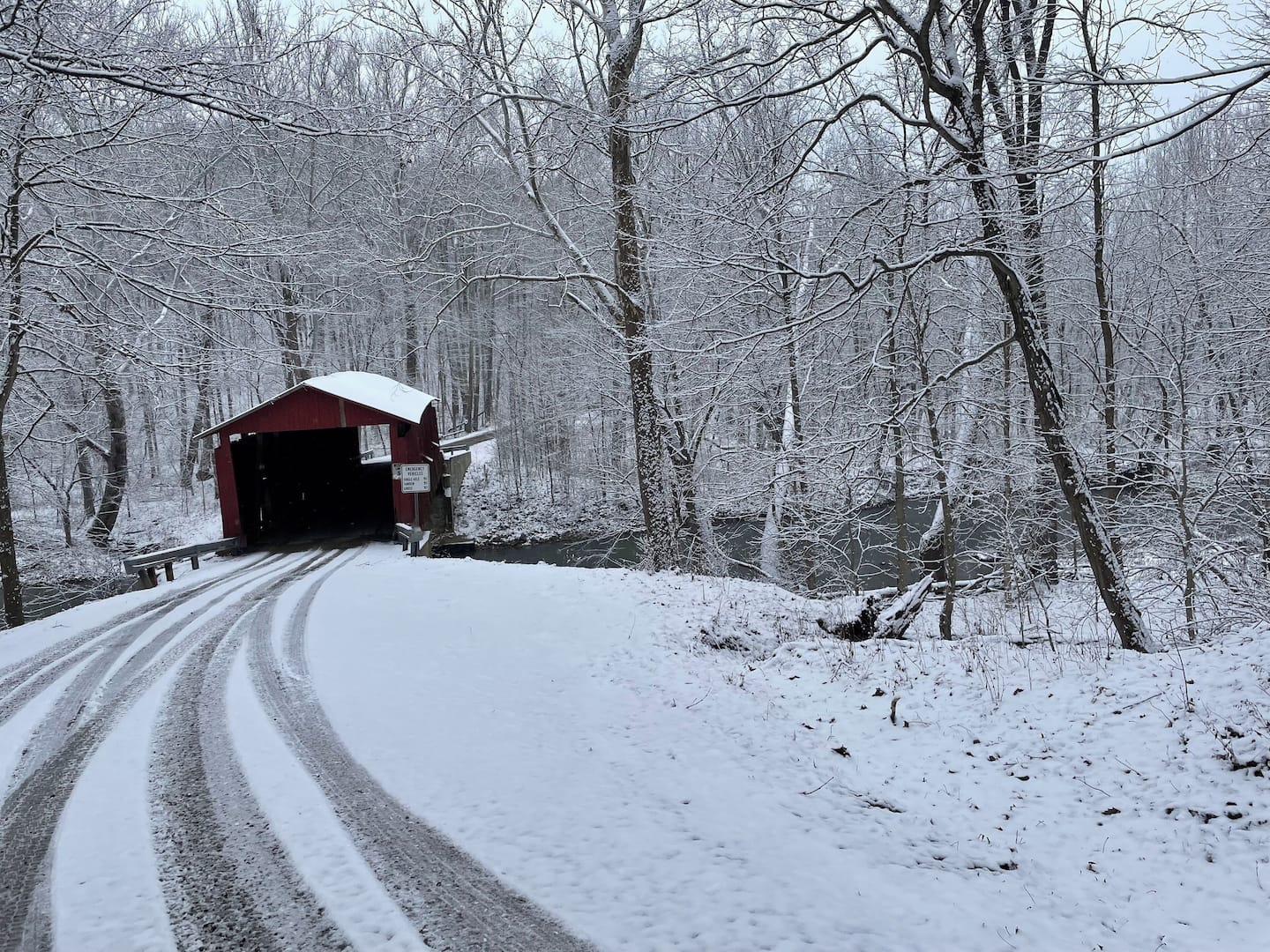 Treetop Deck