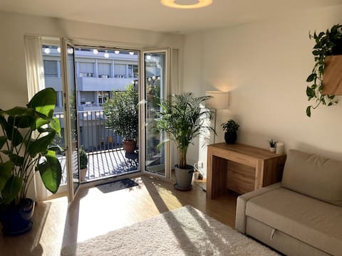 Popular Airbnb listing: Sunny plant apartment in Zurich in Alt Wiedikon