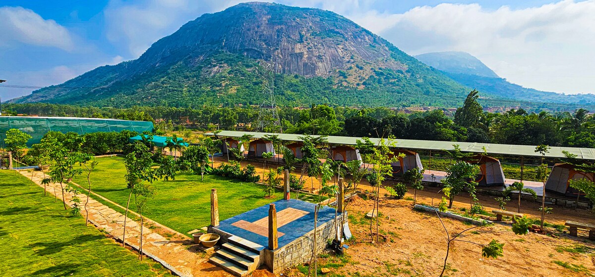 The Nest - Stone Hills - Houses for Rent in Rural, Bengaluru
