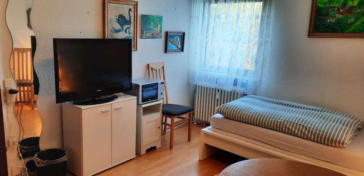 A simple guest room features a spacious bed with a striped blanket, complemented by a wooden chair and a TV mounted on a white cabinet. A microwave is positioned nearby, and natural light filters through sheer curtains, creating a bright and airy atmosphere.