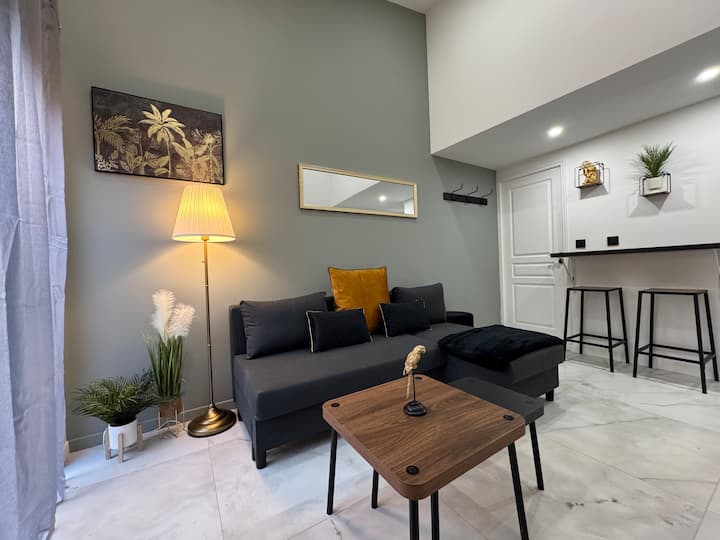 Chic Duplex Lyon Avec Terrasse Et Parking Privée - Vénissieux