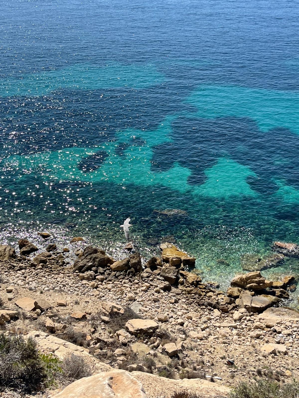 A rocky shoreline meets clear blue waters, revealing a gradient of turquoise and deeper shades. Sunlight reflects off the water's surface, creating a shimmering effect. Smooth and jagged stones line the coast, with some greenery visible on the land, enhancing the natural seaside landscape.