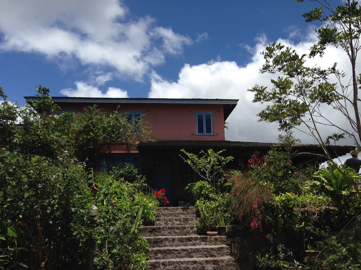 A charming two-story home is nestled among lush greenery and colorful flowers. The exterior showcases a pink facade with blue window frames, complemented by a welcoming stone staircase leading to the entrance. Bright blue skies and scattered clouds create a serene backdrop.