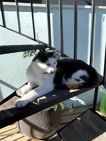 Buddy’s Abode, Our Home gallery image 2