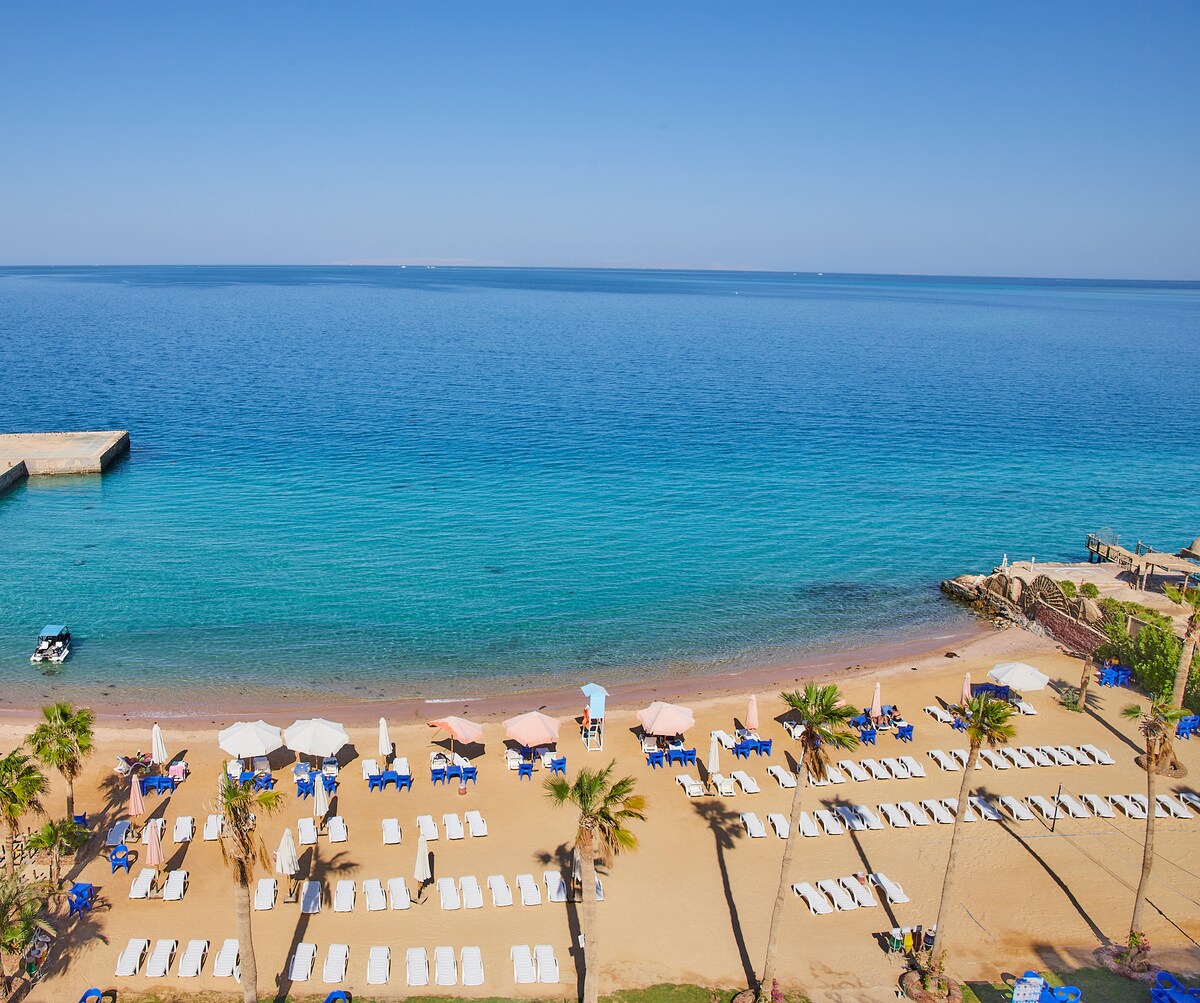 A serene beachfront scene showcases a golden sandy shore lined with numerous white lounge chairs and umbrellas. Calm, crystal-clear waters extend to the horizon, meeting a clear blue sky. Palm trees provide subtle shading near the water's edge, enhancing the tranquil atmosphere.