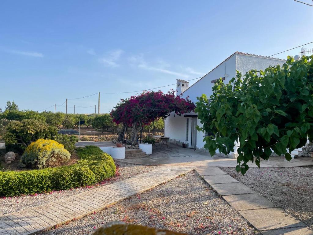 A tranquil outdoor space is surrounded by vibrant greenery and flowering plants. A white house with a sloped roof is glimpsed in the background. A pathway made of stone leads through the landscaped area, enhancing the peaceful atmosphere of the garden.