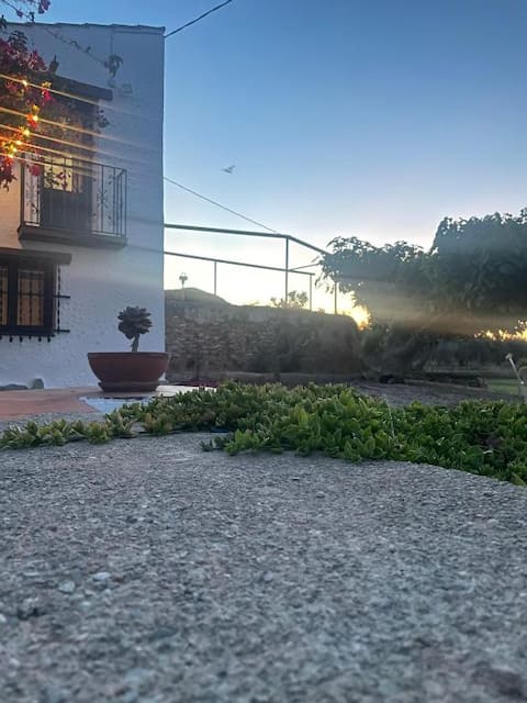 Rural house | Mas de la Salut | Delta de l'Ebre