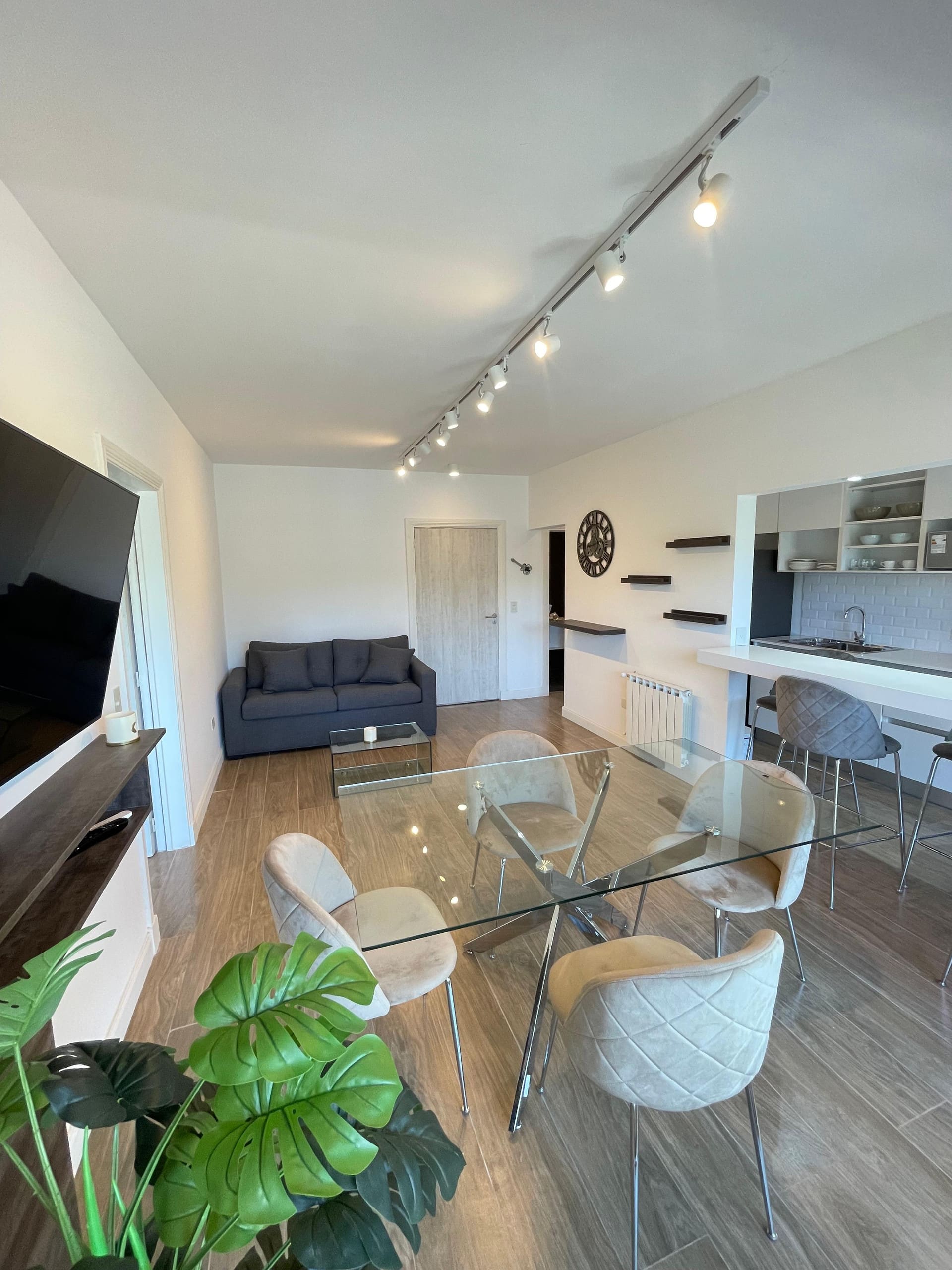 Modern one-bedroom apartment in Núñez