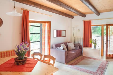 Albergo Diffuso Sauris, Apartment on 2 levels