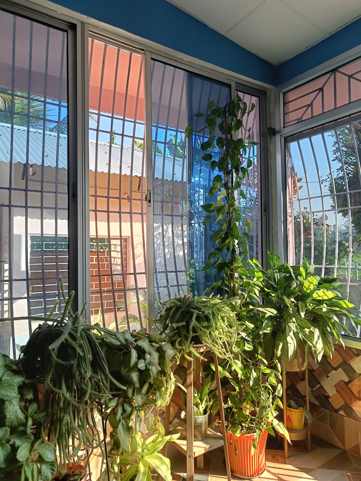 A sunlit corner is filled with various indoor plants, including trailing vines and leafy greens. Large windows with glass panes allow for ample natural light, while decorative grills provide security without obstructing the view of the outdoor greenery.
