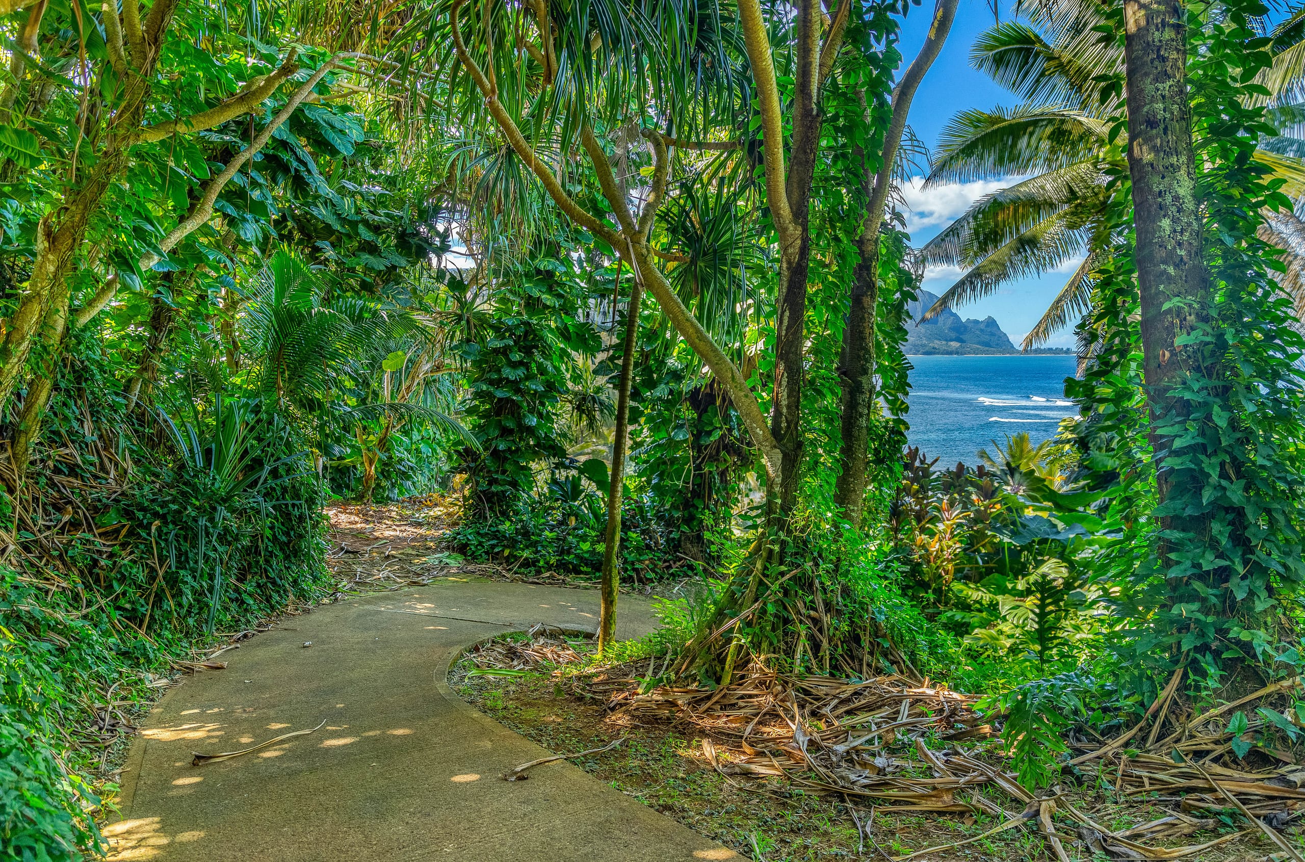 Pali Ke Kua 223 Beautiful Ocean and Bali Hai Views - Image 35