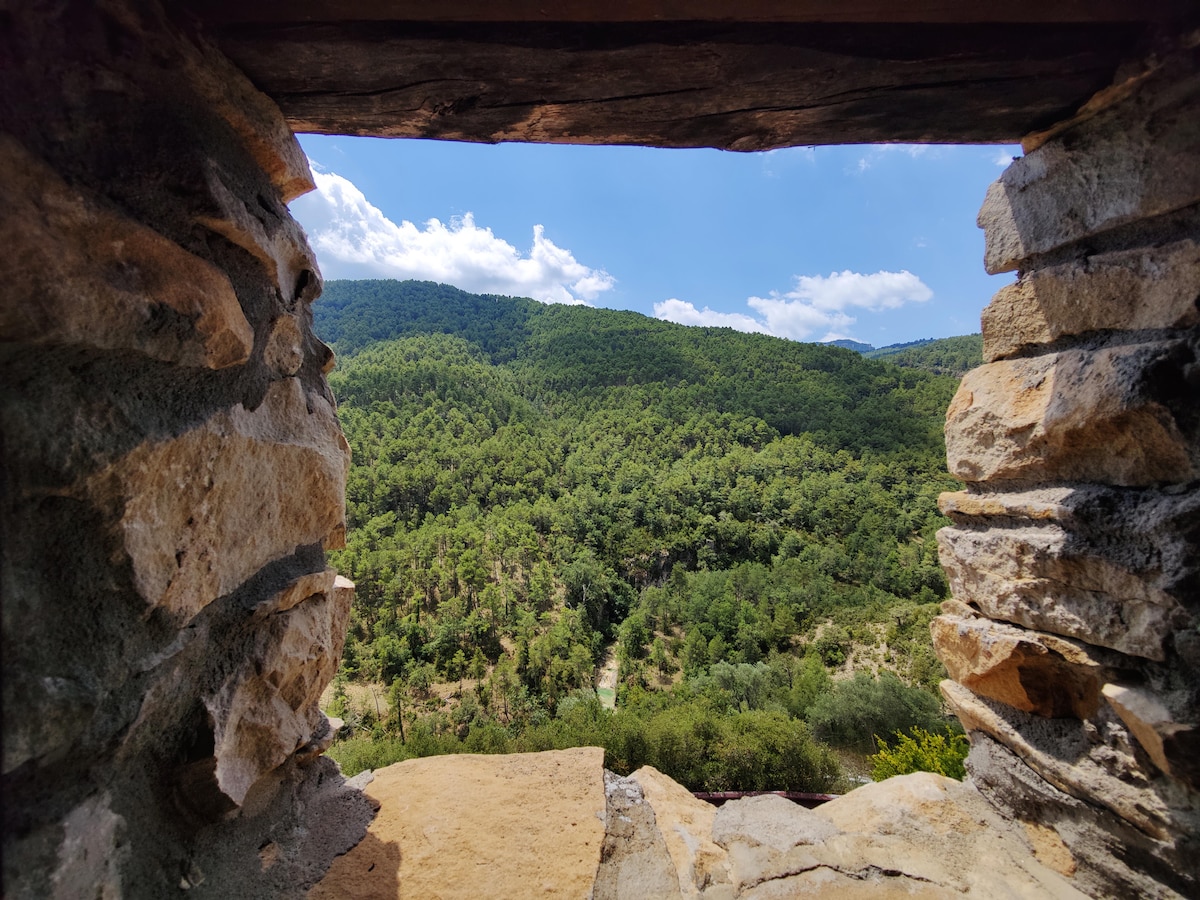 A stone-framed window offers a view of rolling green hills and a forested landscape under a bright blue sky. Sunlight illuminates the natural scenery, highlighting the diverse shades of green in the trees.