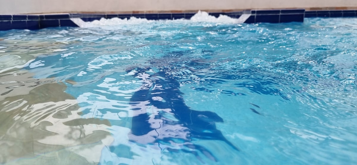 The image showcases a shimmering private pool with inviting blue waters. Soft ripples are visible on the surface, reflecting light. The pool's tiled edge adds a touch of elegance to the tranquil setting, creating an atmosphere suited for relaxation.