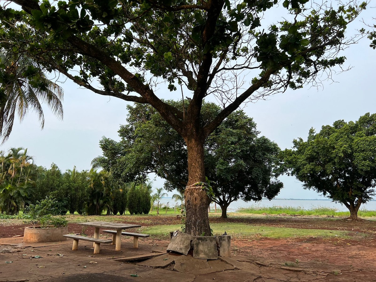 A large tree provides shade over a simple picnic table set on an earthy surface. Surrounding greenery includes various trees and plants, creating a spacious outdoor environment. The sky is overcast, giving the scene a calm and serene feel.