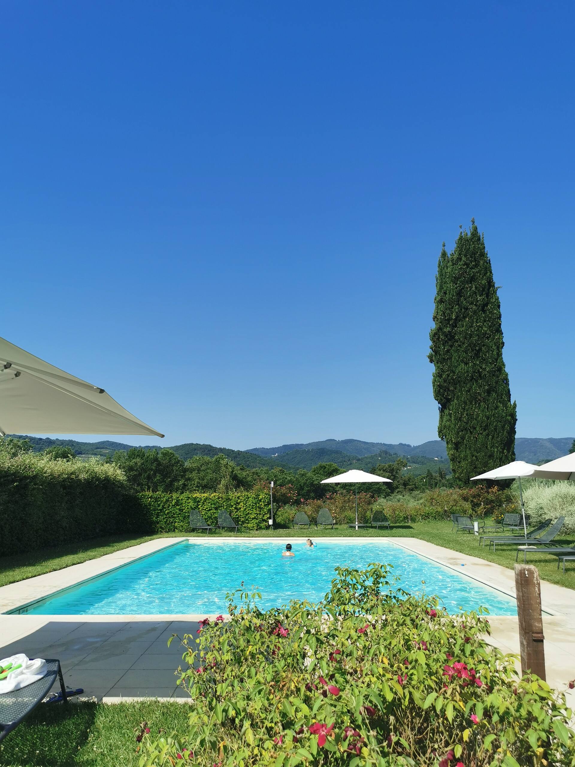 Among Vineyards and Nature