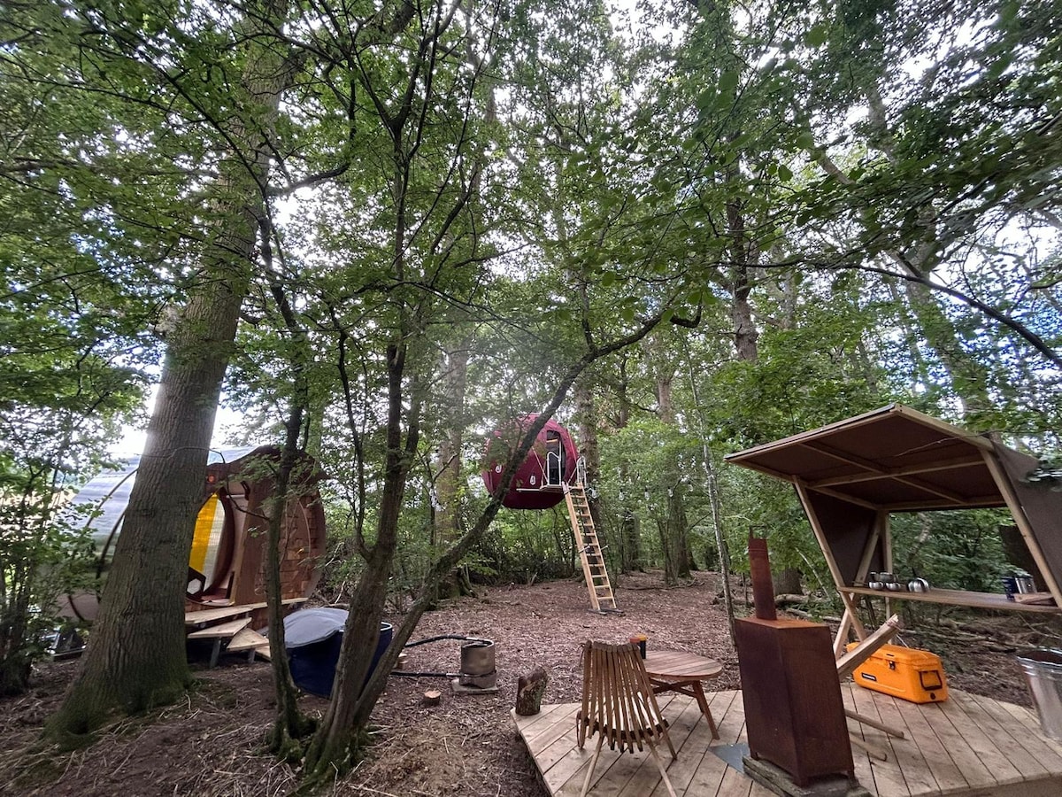 A secluded area among trees features a Tree Tent suspended above the ground. A wooden deck is visible, with a circular table and chairs arranged nearby. A ladder leads up to the tent, while a covered outdoor cooking area and fire pit are seen in the background.