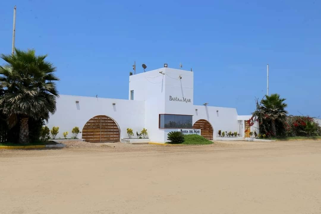 A clean, white building with a simple facade is visible, featuring wooden accents and landscaping. Palm trees dot the entrance area, complemented by a clear blue sky above. The surrounding grounds appear open and sandy, suggesting a welcoming atmosphere for guests.