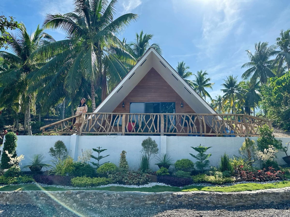 A modern cabin design features a triangular roof and is surrounded by lush palm trees. Colorful plants and shrubs line the white stone pathway, offering a vibrant contrast to the natural greenery. A spacious deck provides a welcoming entrance to the cabin.
