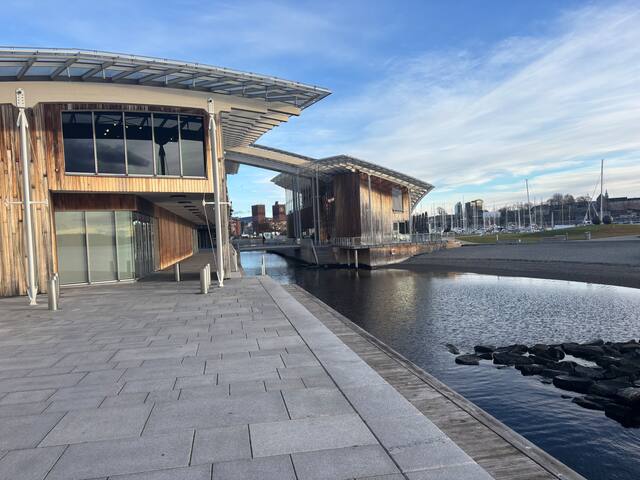 Modern waterfront apartment Oslo Center/Tjuvholmen gallery image 4