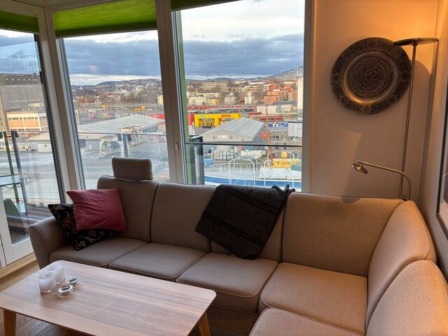 Modern waterfront apartment Oslo Center/Tjuvholmen gallery image 2