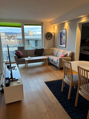 Modern waterfront apartment Oslo Center/Tjuvholmen