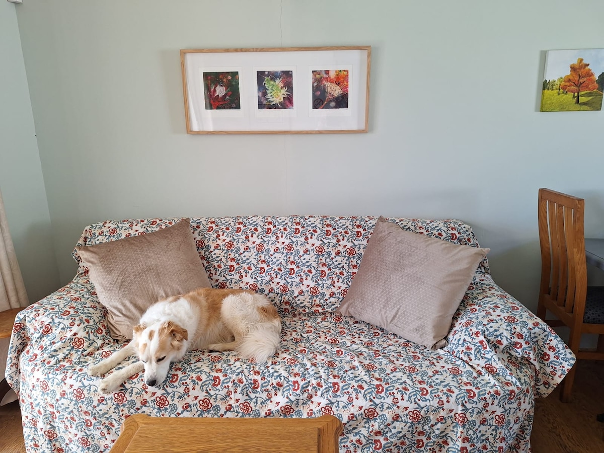 A cozy living area features a patterned sofa adorned with two large pillows. A dog rests comfortably on the sofa. Above the couch, three framed artworks display floral images. A wooden table and chairs are positioned in the background, enhancing the inviting ambiance.