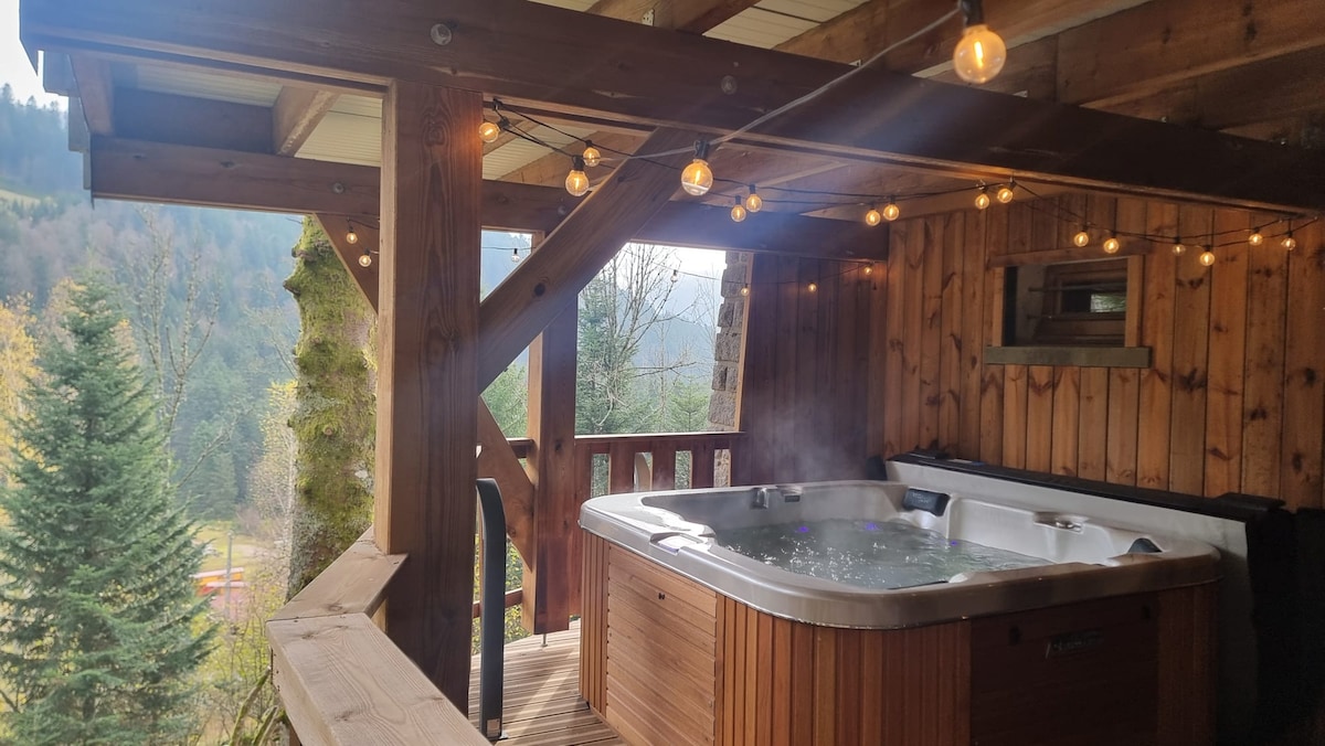 012- Chalet le Dahu-au pied des pistes-Jacuzzi-Parking - photo 5