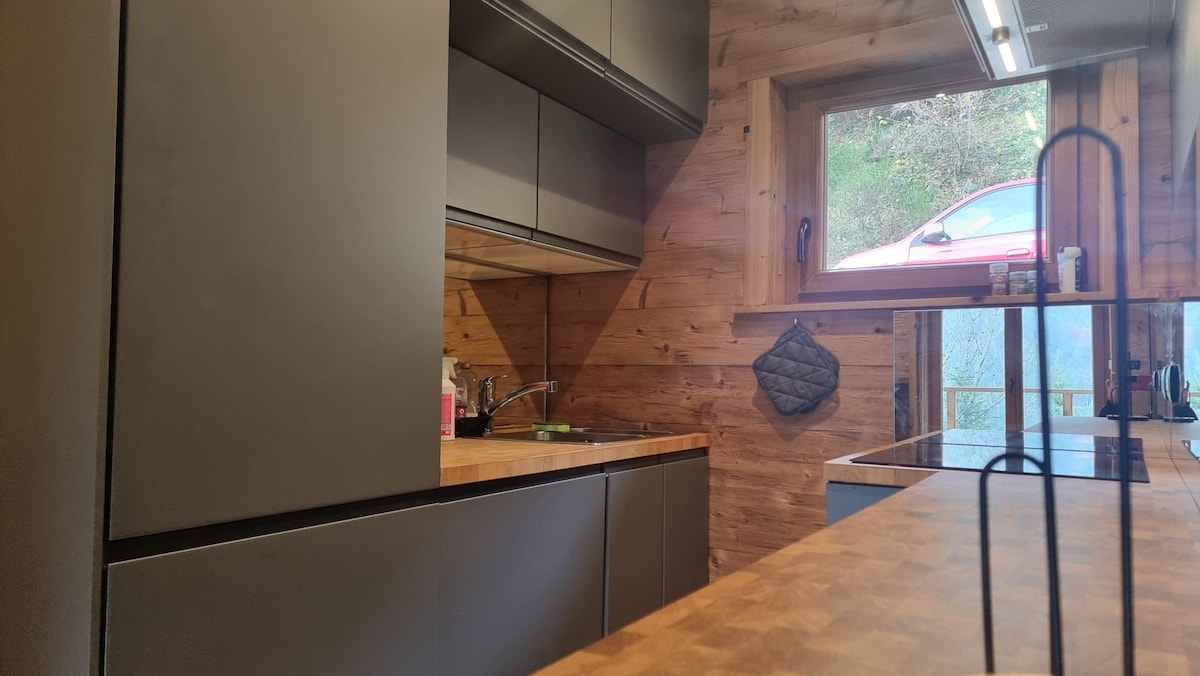 012- Chalet le Dahu-au pied des pistes-Jacuzzi-Parking - photo 4