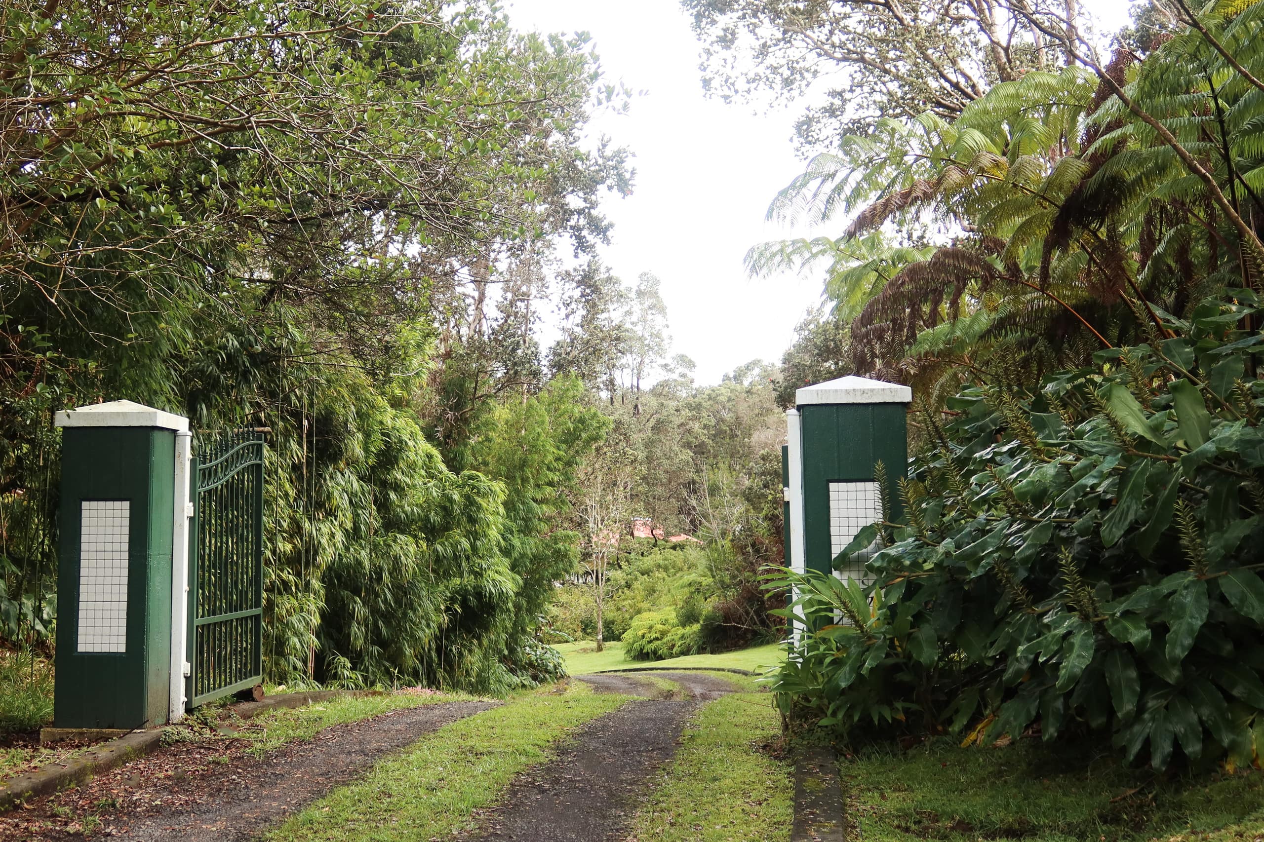 Home in Volcano · ★4.97 · 1 bedroom · 2 beds · 1 private bath - Image 19