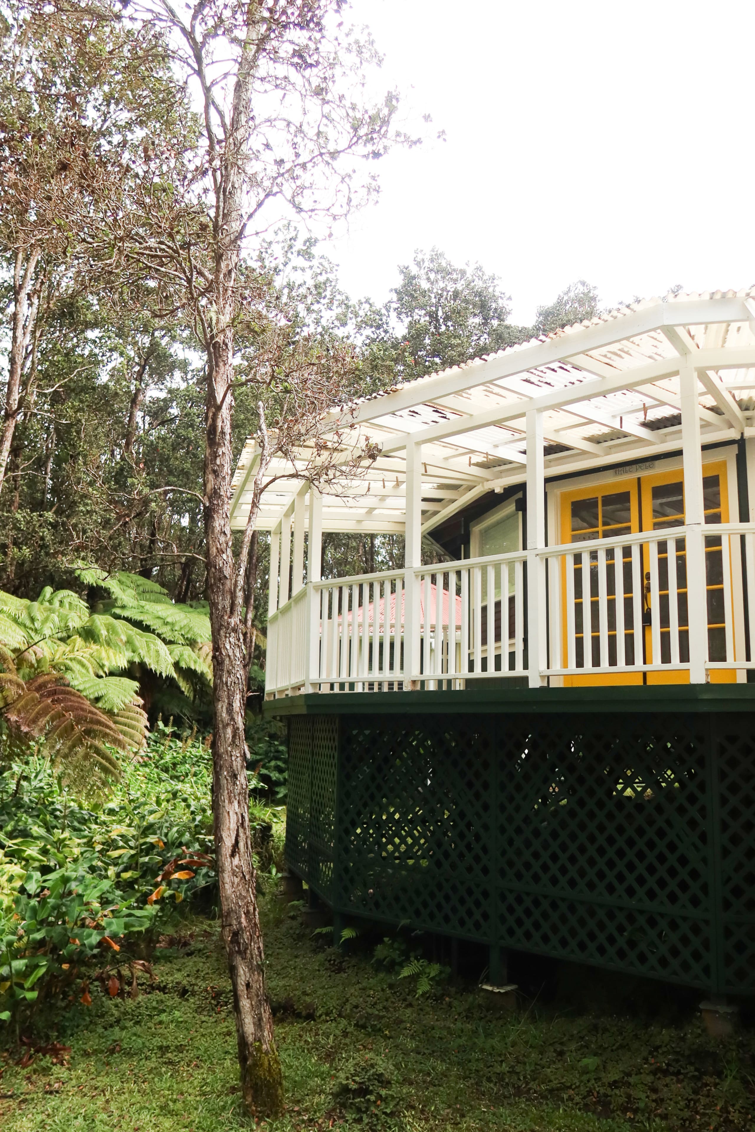 Home in Volcano · ★4.97 · 1 bedroom · 2 beds · 1 private bath - Image 17