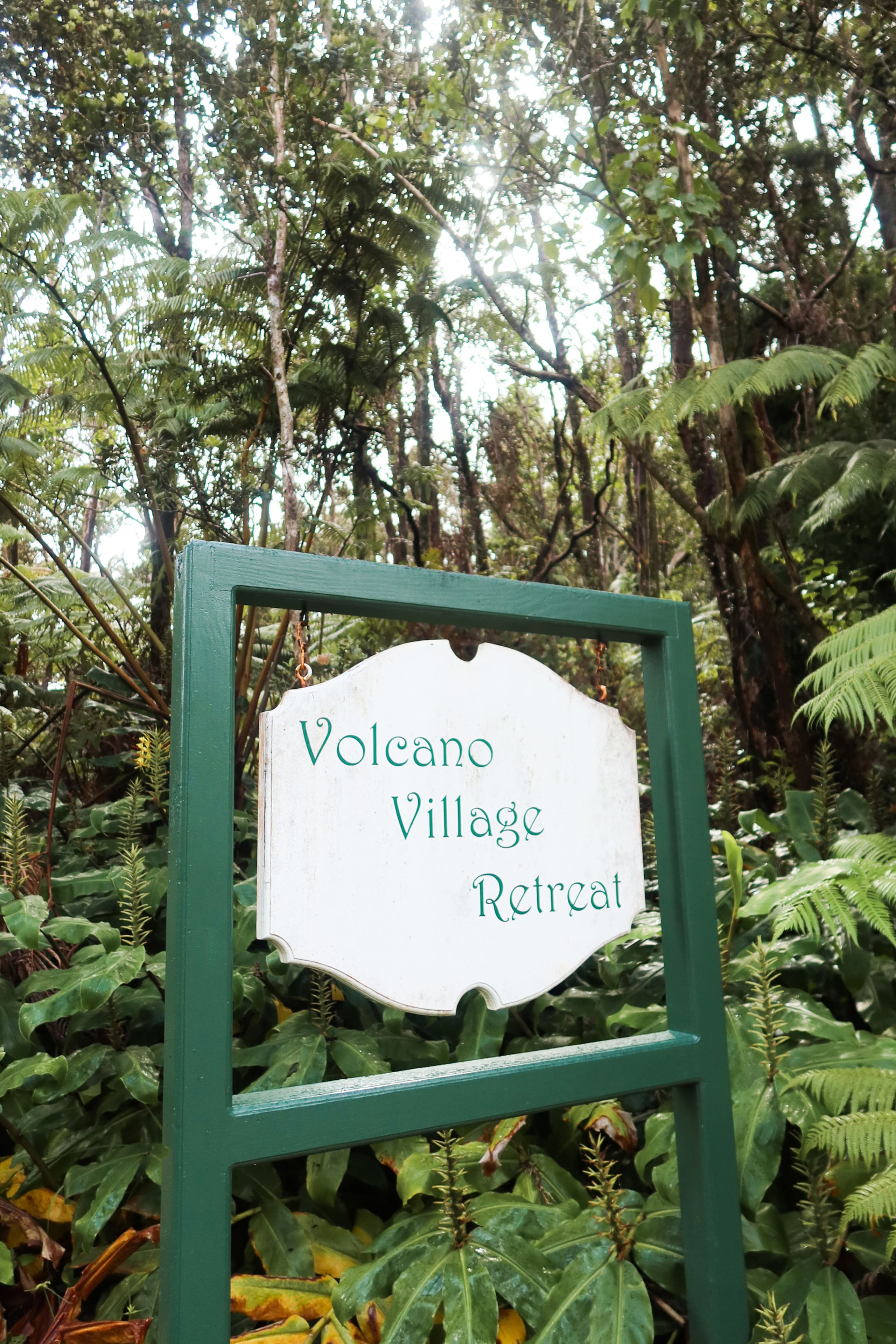 Home in Volcano · ★4.97 · 1 bedroom · 2 beds · 1 private bath - Image 20