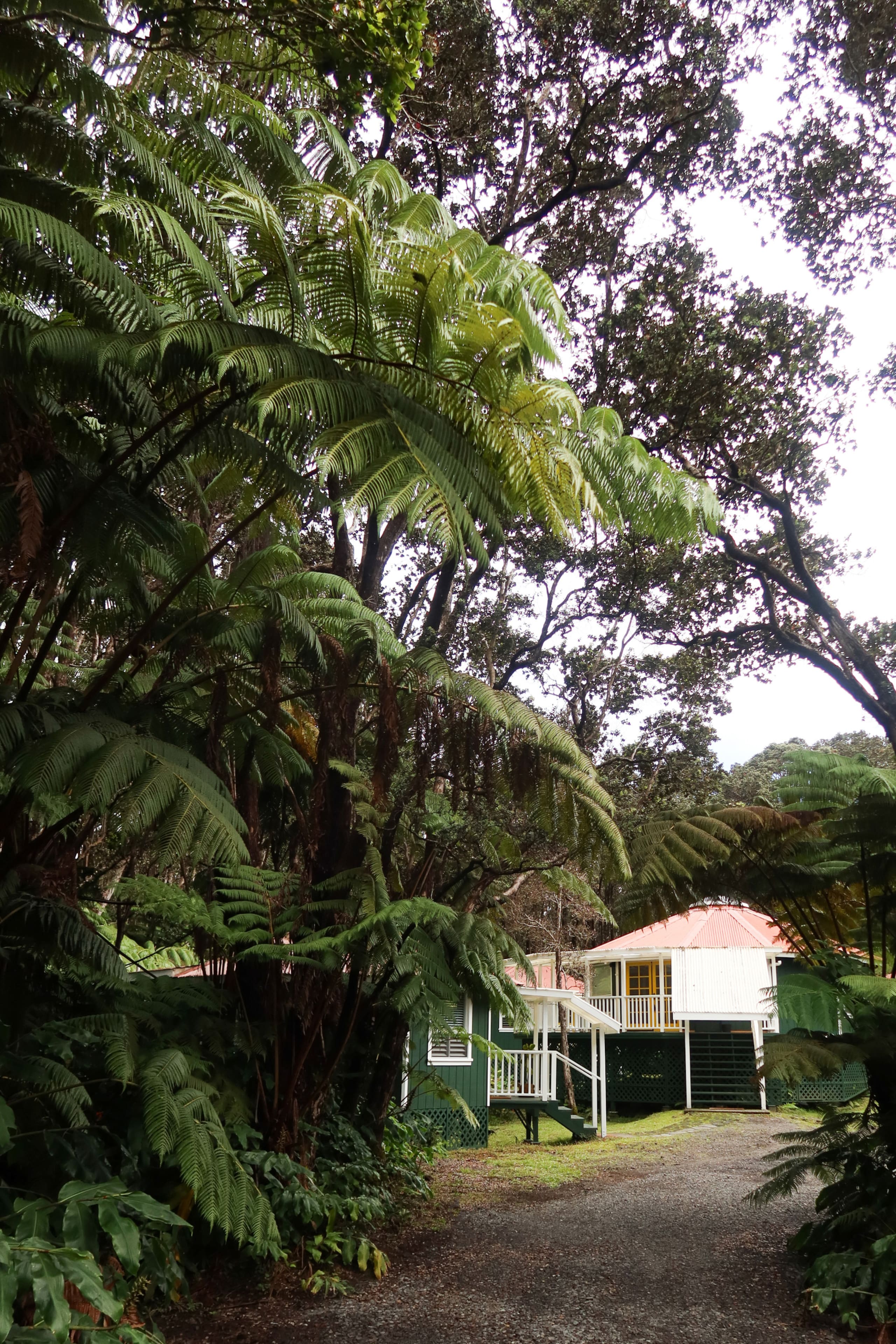 Home in Volcano · ★4.97 · 1 bedroom · 2 beds · 1 private bath - Image 21