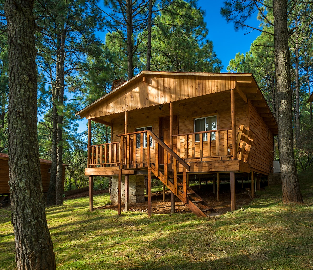 A charming wooden cabin is nestled among tall trees, featuring a welcoming front porch with sturdy railings. Sunlight filters through the branches, casting soft shadows on the grassy area surrounding the cabin. The structure is elevated on sturdy posts, providing a scenic view of the landscape.