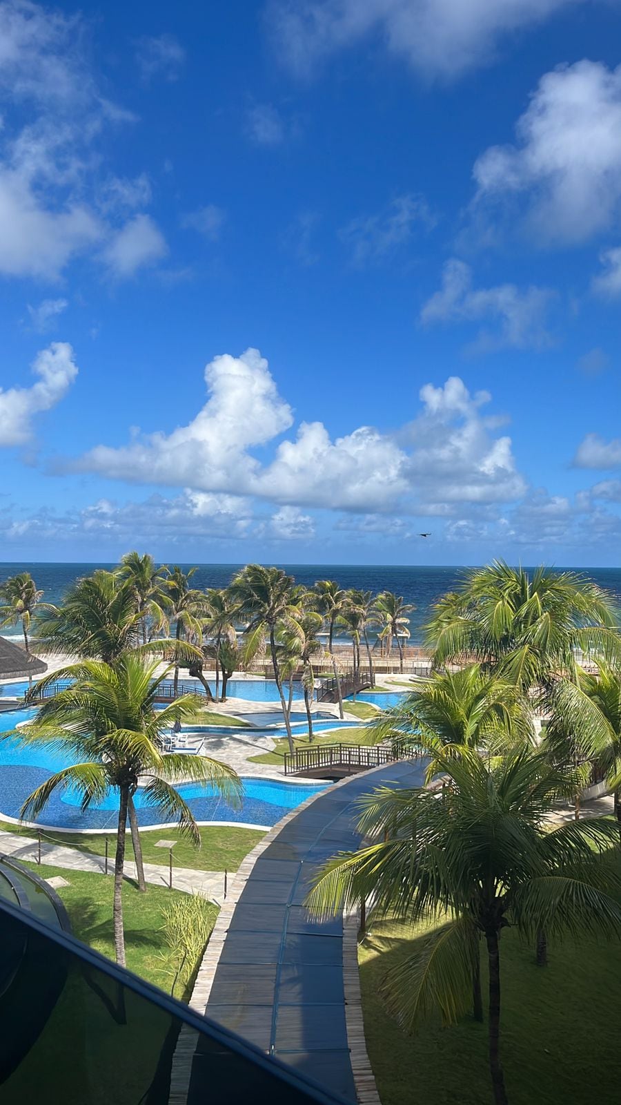 A panoramic view captures the lush palm trees surrounding a series of swimming pools, leading towards a private beach. The vibrant blue sky contrasts with the colors of the water, creating a serene coastal landscape.