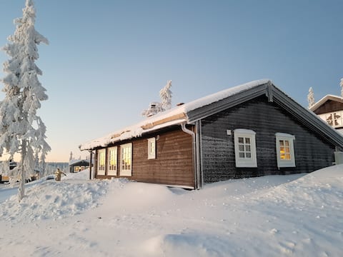Modern cottage on Budor. Only 1.5 hours from Oslo.
