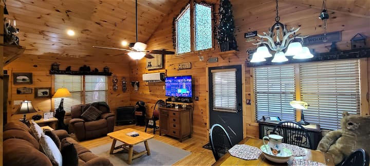 A Bearable Cabin - Helen, GA