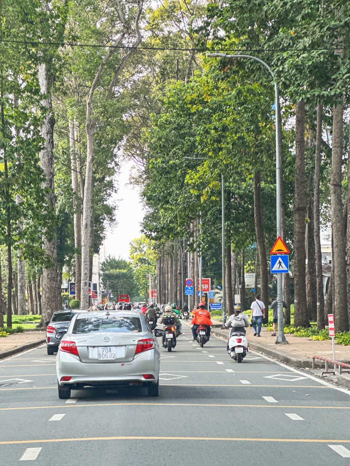A wide street is lined with tall trees, providing shade along the roadway. Vehicles, including cars and motorbikes, are seen traveling in both directions. Traffic signs are visible, indicating pedestrian crossings and traffic regulations.