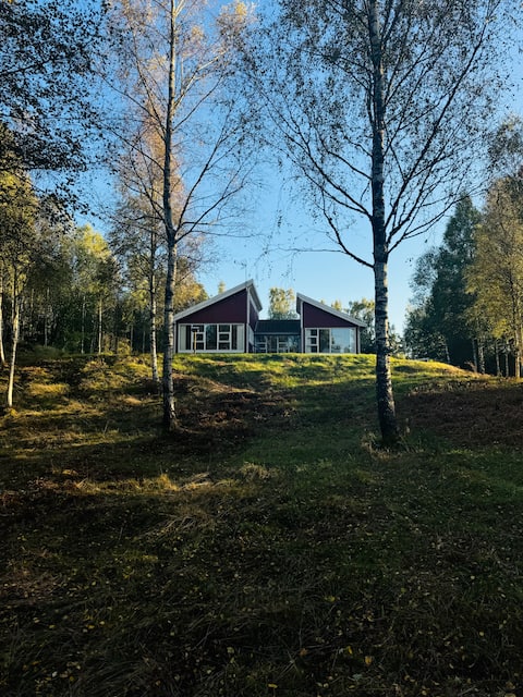 House on hillside by water and forest with 5,000m² garden