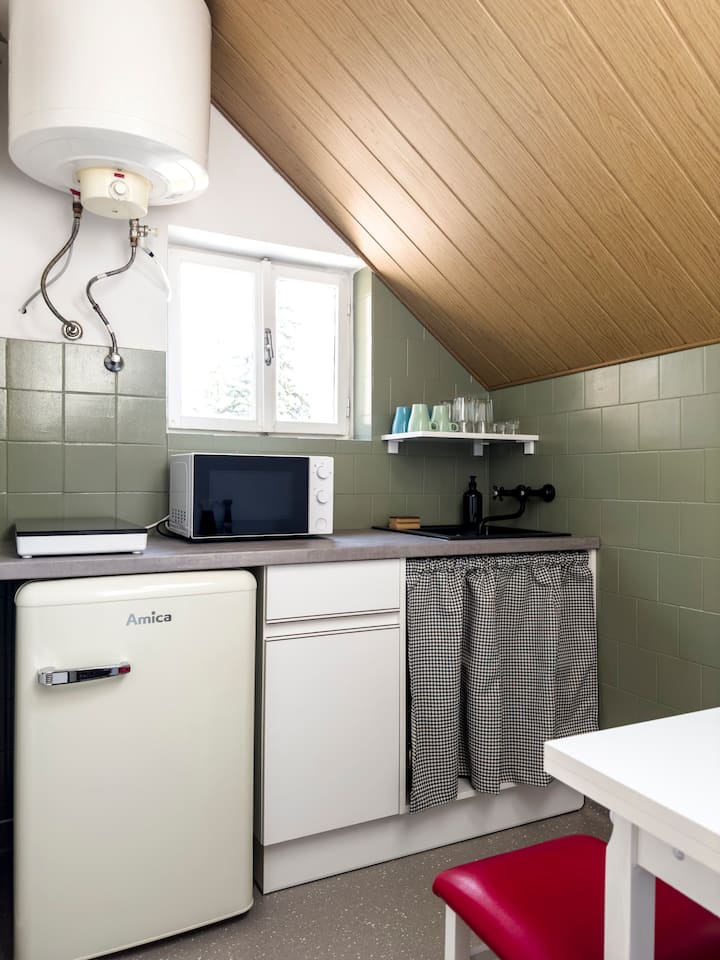 Endretro Apartments At Lake Balaton | Ap4 | Siófok - Balatonmeer