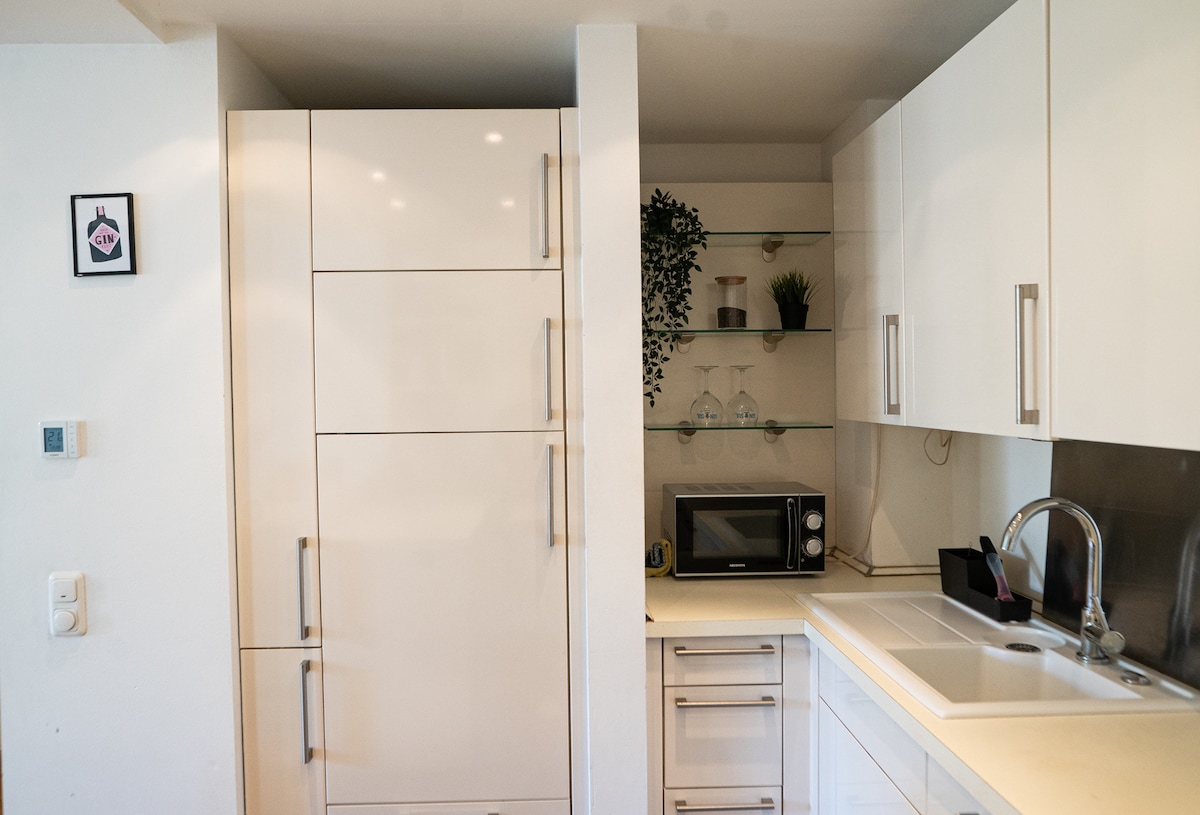 beautiful apartment in the Old Town